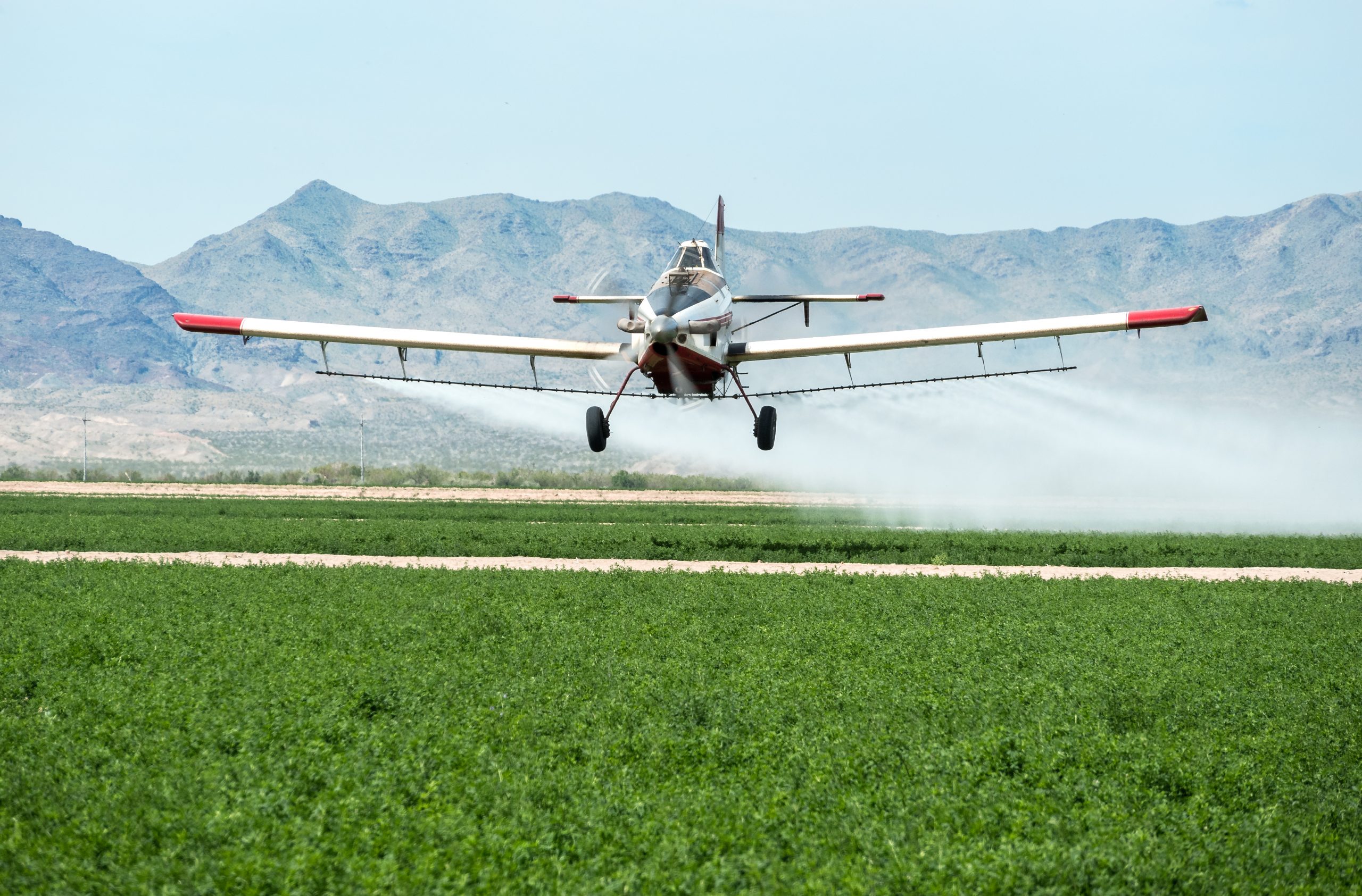 Thrush Spraying a Field